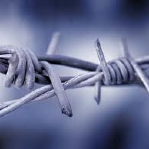 Barbed wire